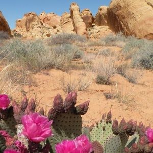 Meet your Posher, Hayden